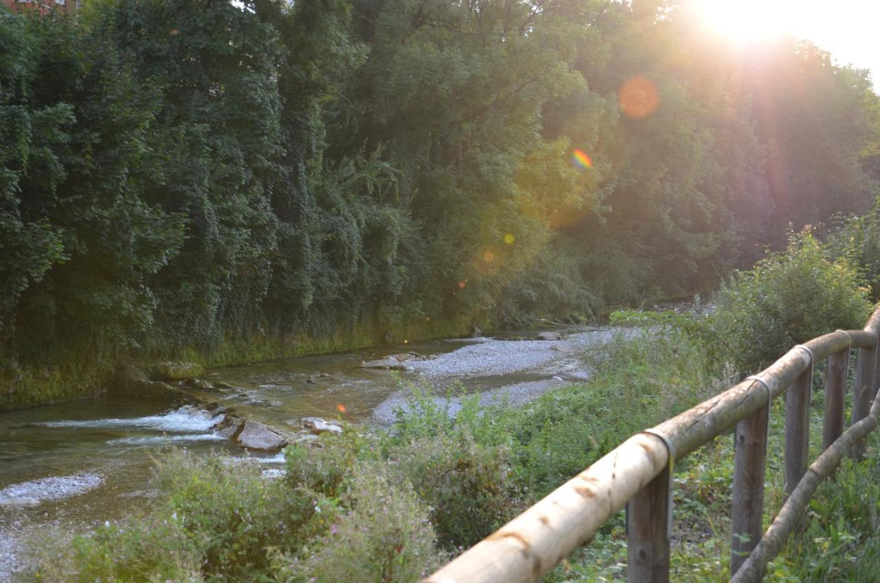 Casetta Next To The Creek Sebastiano Ricci Belluno Buitenkant foto